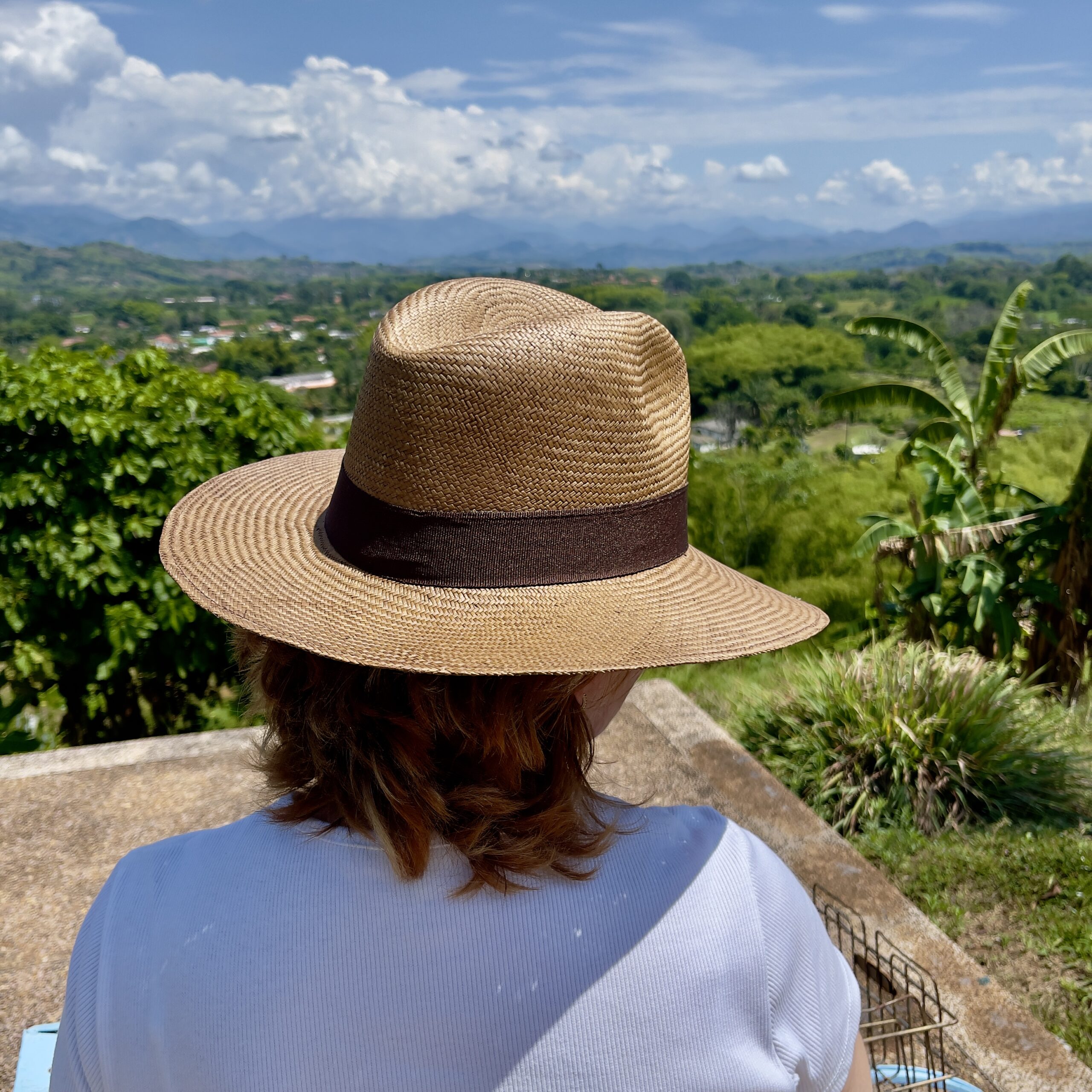 Sombrero Aguadeño Café Fino 11 Sombrero Aguadeño Café Fino 11