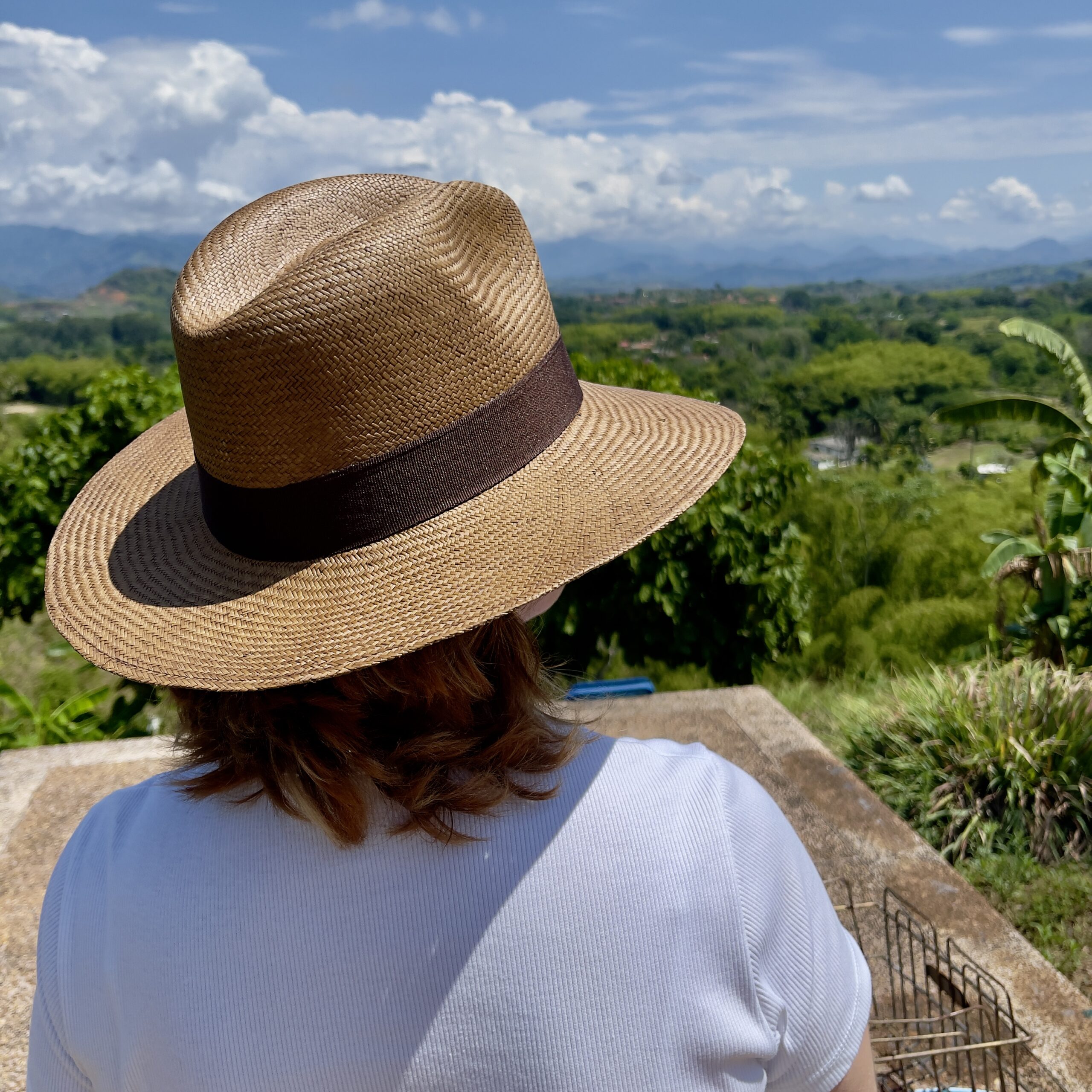 Sombrero Aguadeño Café Fino 12 Sombrero Aguadeño Café Fino 12
