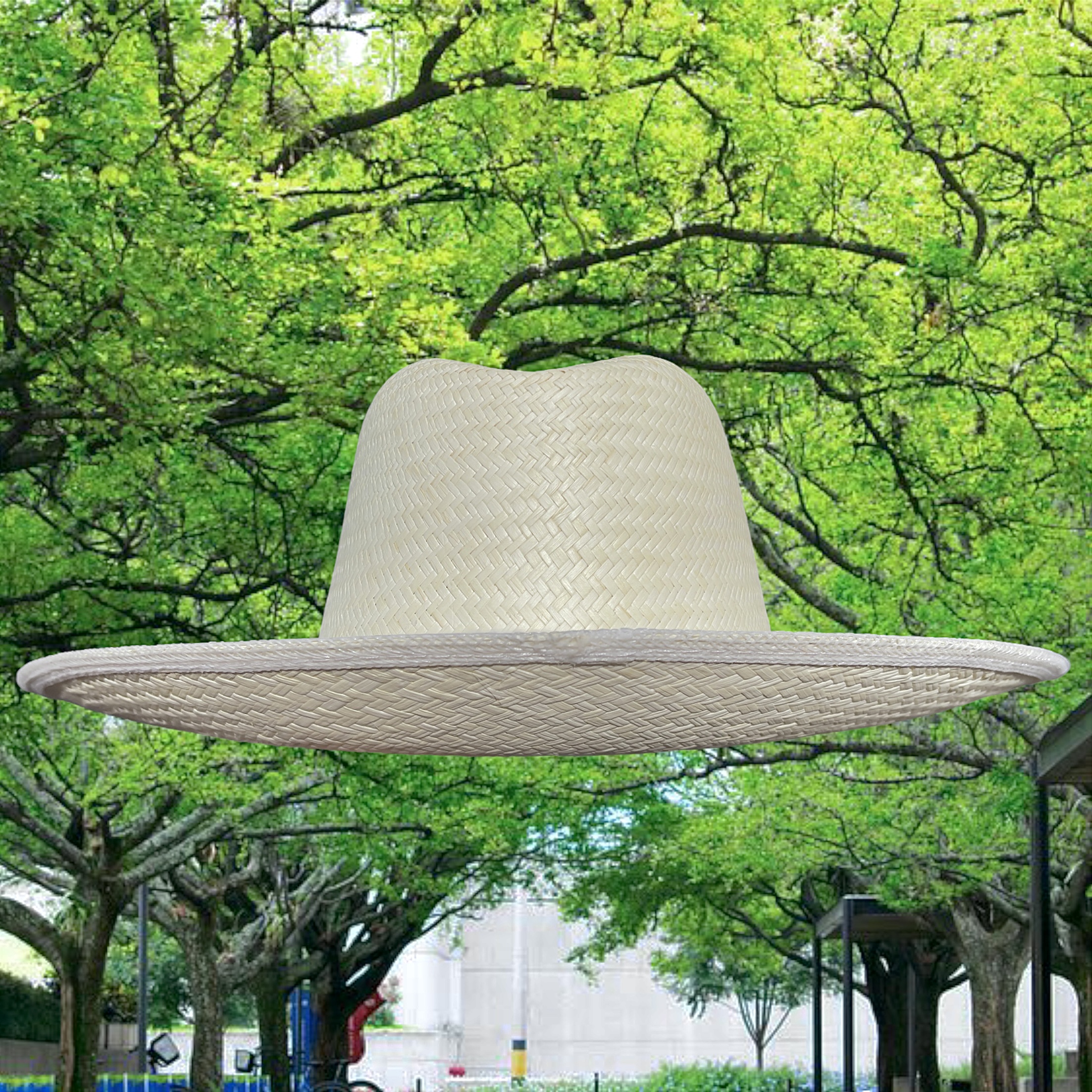 Sombrero para personalizar_3 Sombrero para personalizar