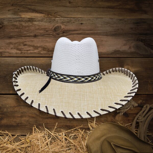 Sombrero_Frontier_en_Yunte_06