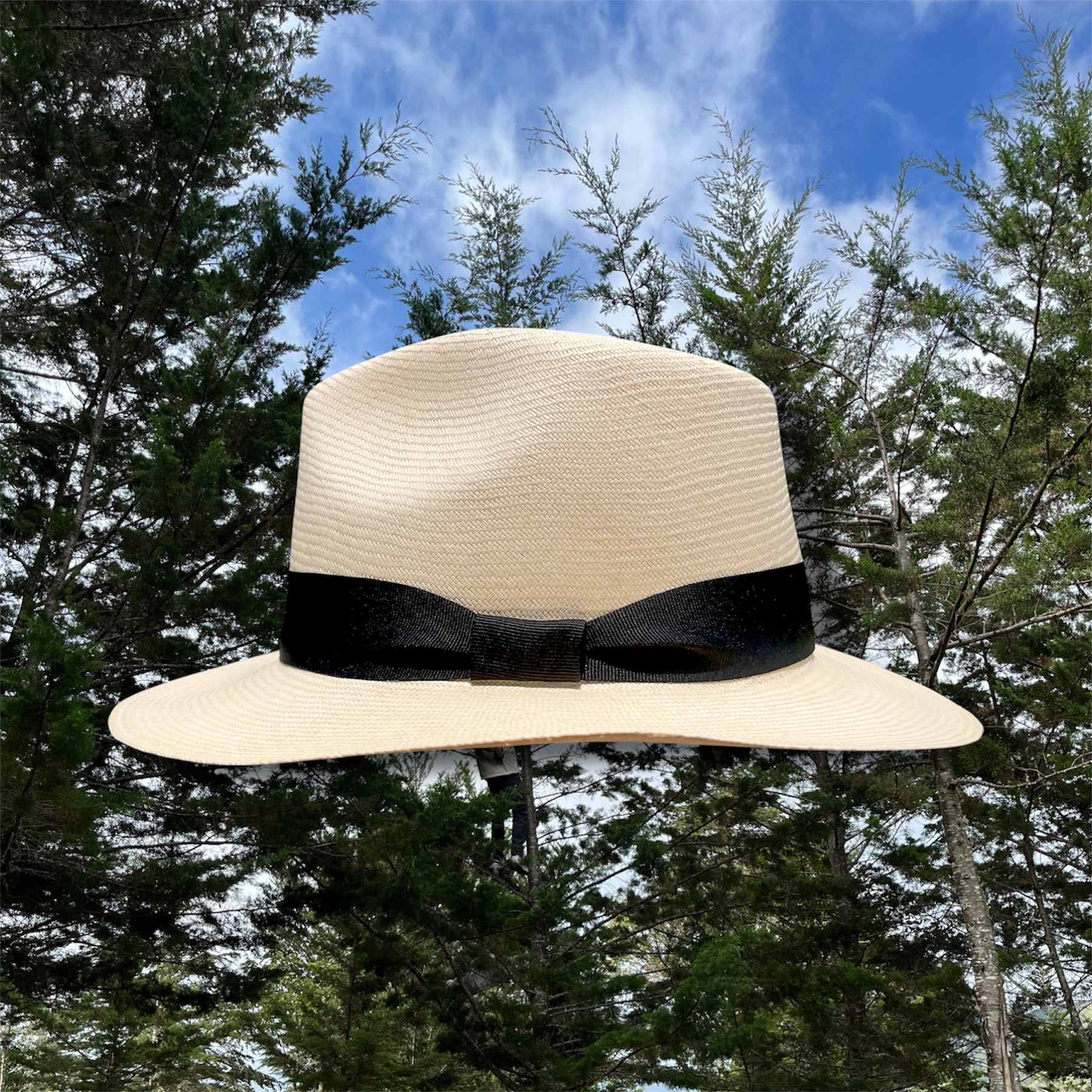 Sombrero Gardeleano 02