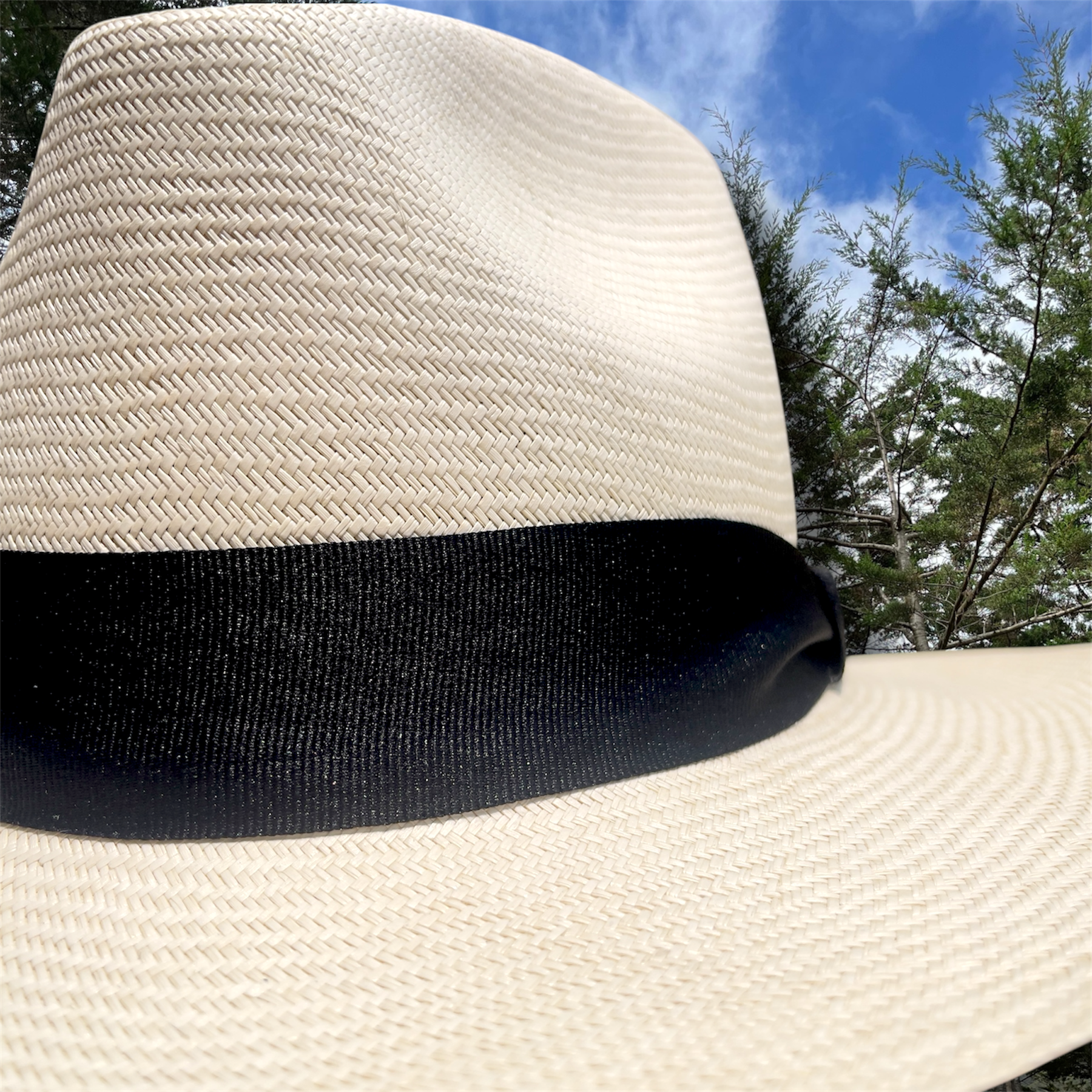 Sombrero Gardeleano 03