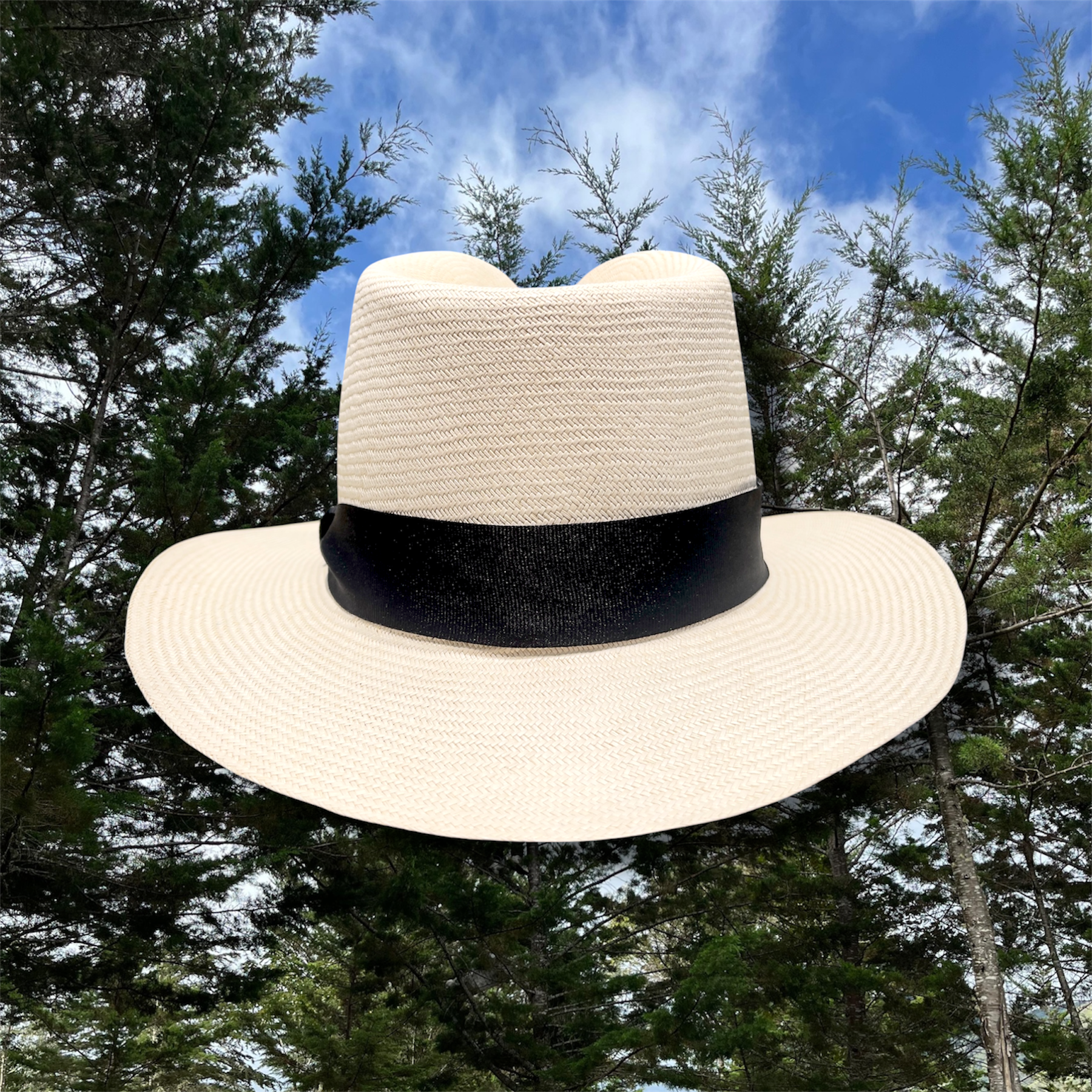 Sombrero Gardeleano 05