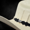 zipwp-image-9497.jpg