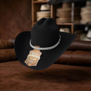 Sombrero Sinaloa Fieltro